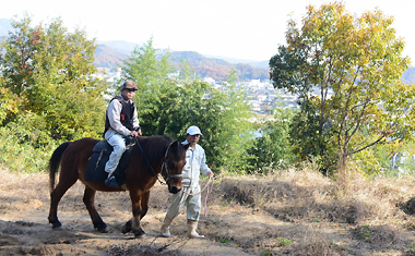 府中市内在住の馬主の方のご厚意で体験