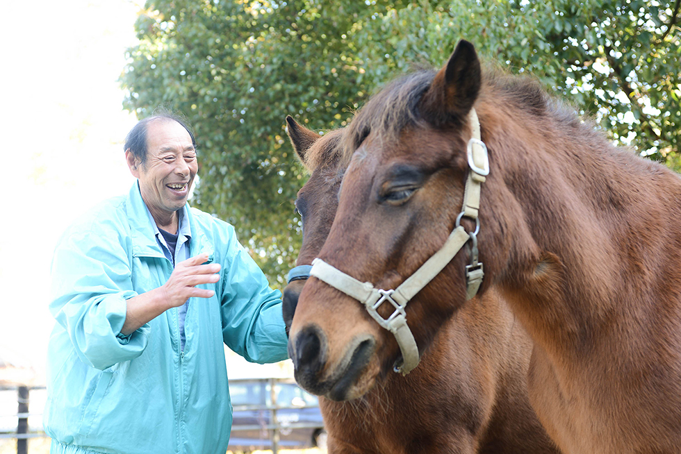 利用者の方のために、リラクゼーションとしての馬とのふれあい