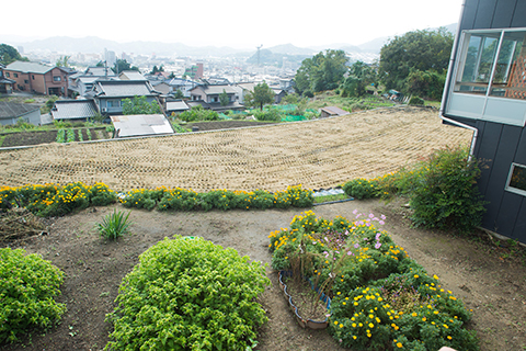 敷地内で育てたお花がお迎えしています