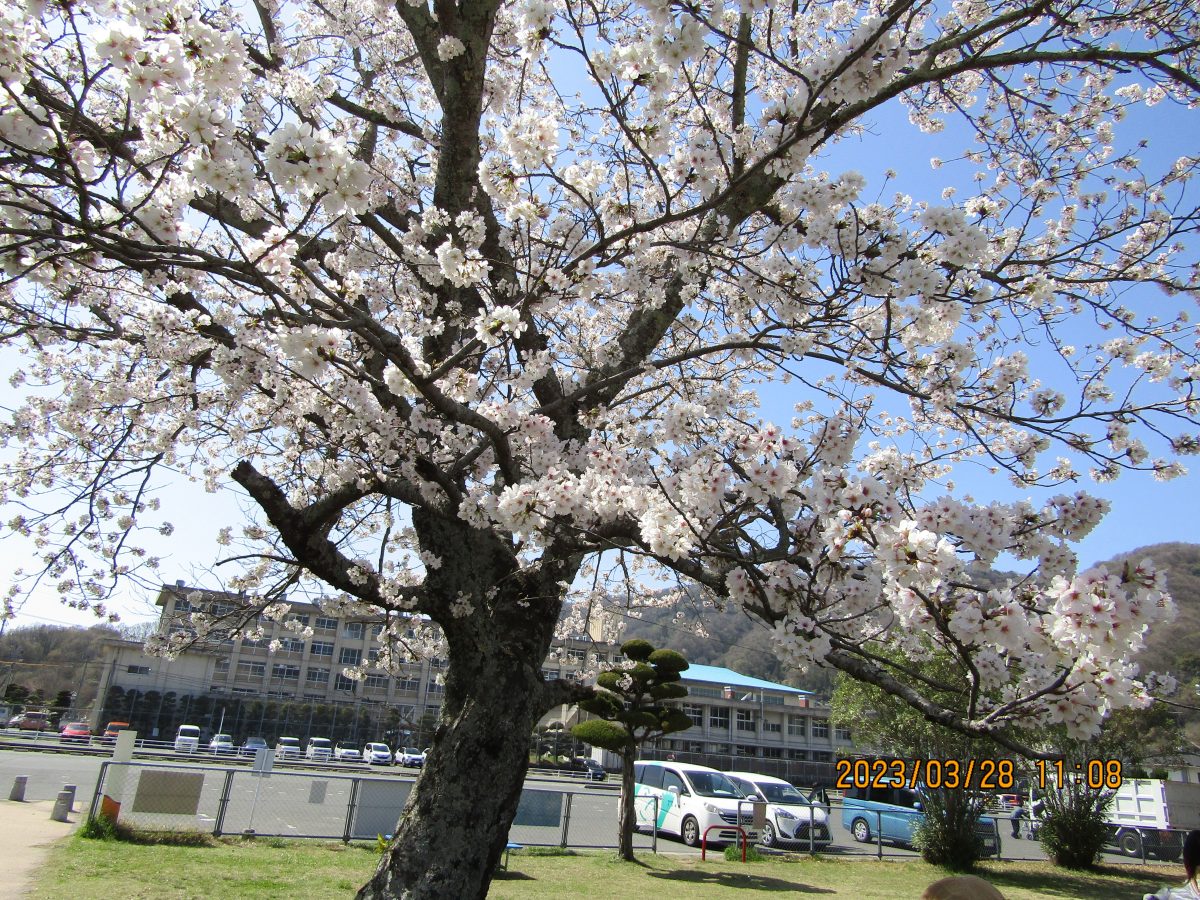 2023年度が始まりました！！本年度もどうぞよろしくお願いいたします。