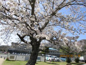 IMG_0646