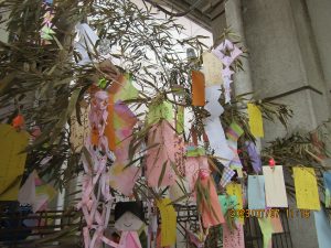 IMG_1726